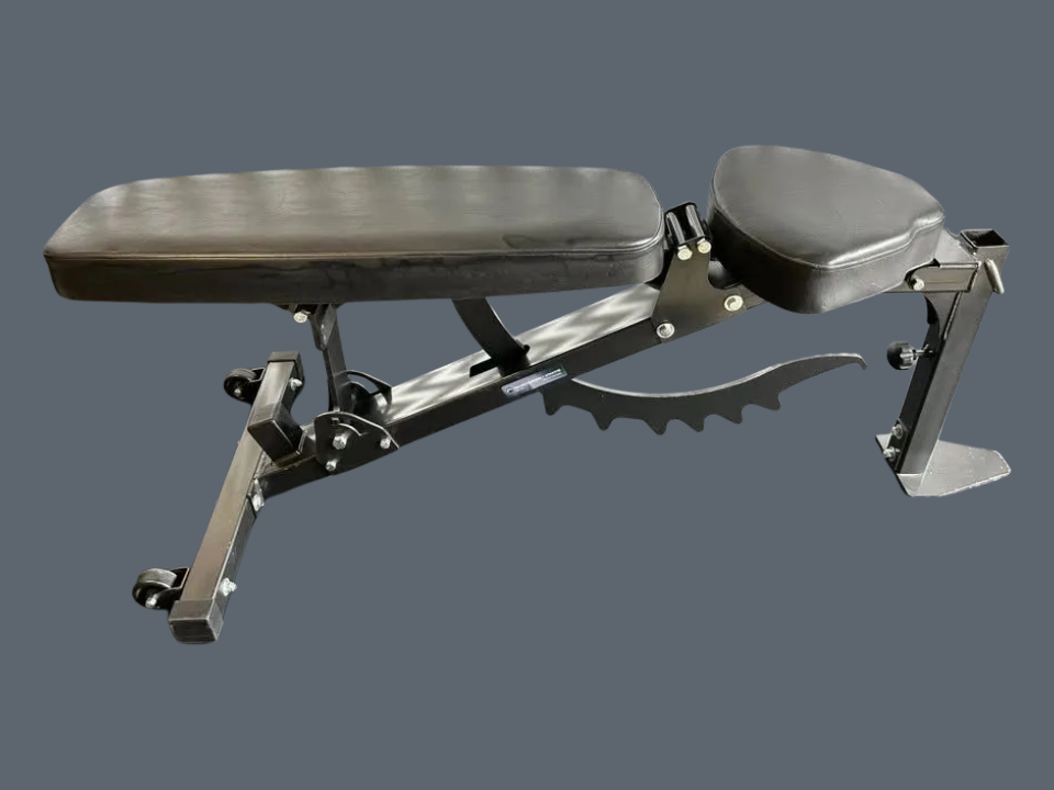 Banc ajustable avec Pupitre (preacher curl) et leg hold Northern Lights comme neufs