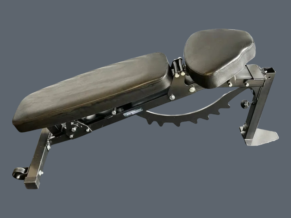 Banc ajustable avec Pupitre (preacher curl) et leg hold Northern Lights comme neufs