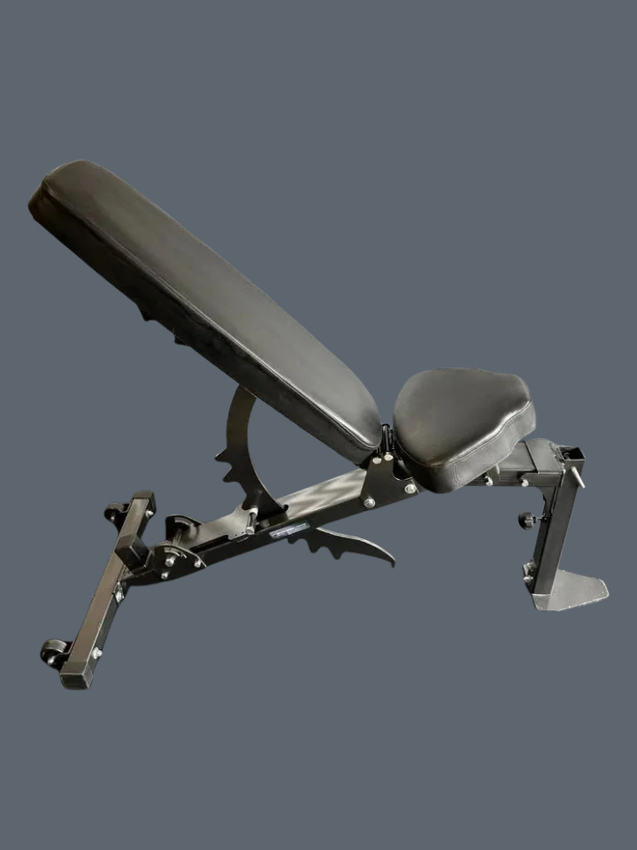 Banc ajustable avec Pupitre (preacher curl) et leg hold Northern Lights comme neufs