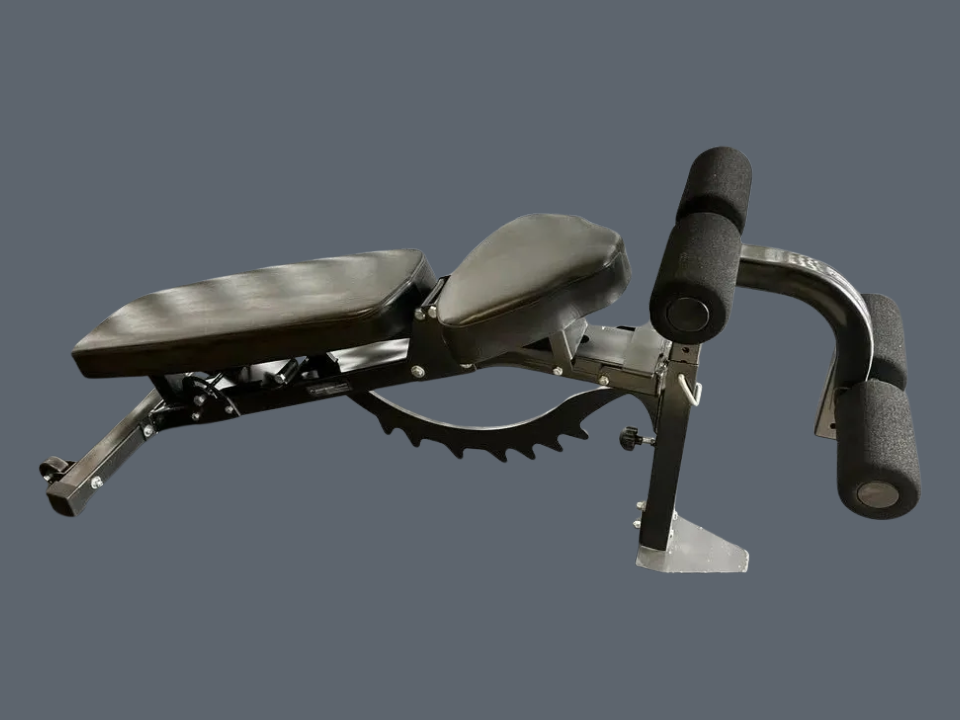 Banc ajustable avec Pupitre (preacher curl) et leg hold Northern Lights comme neufs